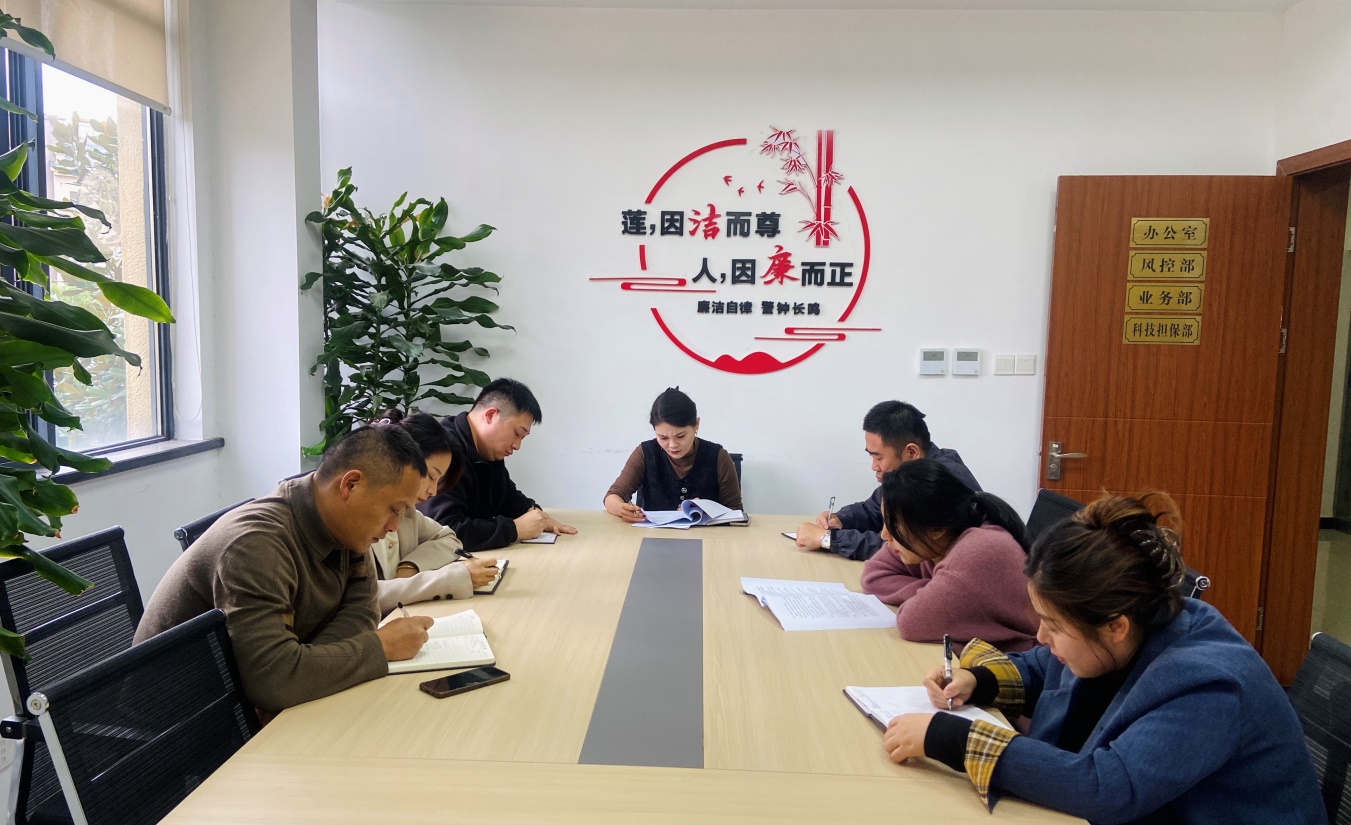 江南擔保公司傳達學(xué)習(xí)貫徹習(xí)近平總書記考察安徽重要講話精神