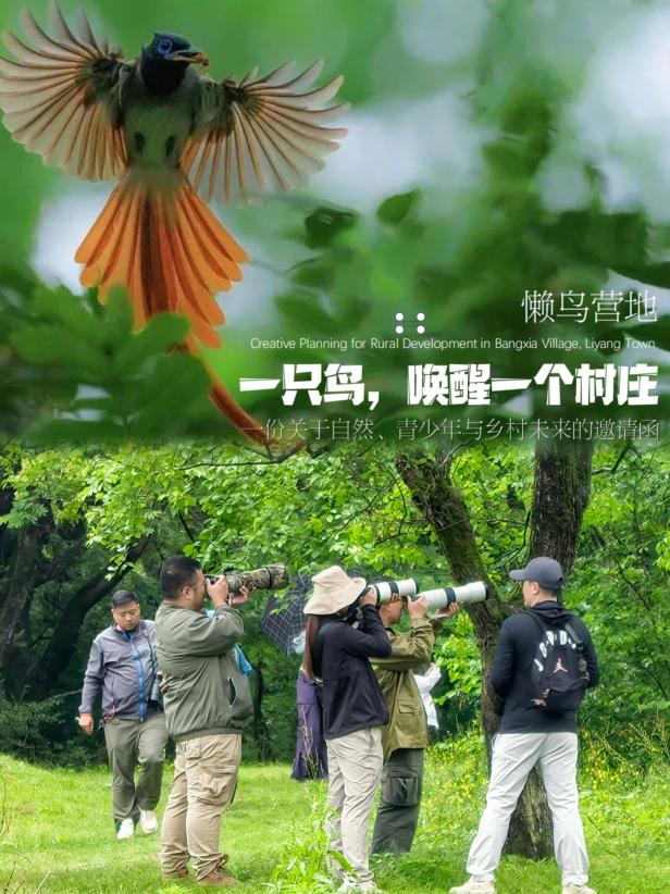 8000萬熱度炸屏！屯溪“護村小祖宗”聯(lián)動短劇頂級頭部平臺帶火綬帶鳥，短劇+文